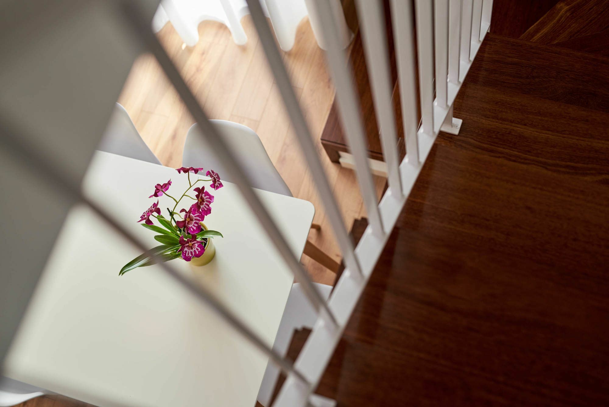 Apartamentos Ponte Nova Porto Eksteriør billede